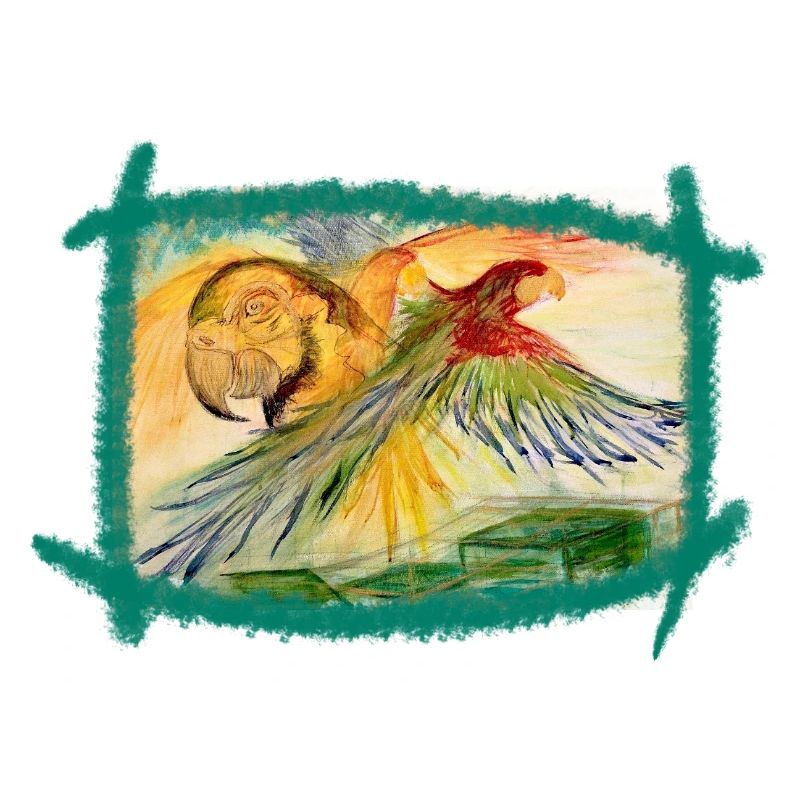 Aras au-dessus de la forêt tropicale