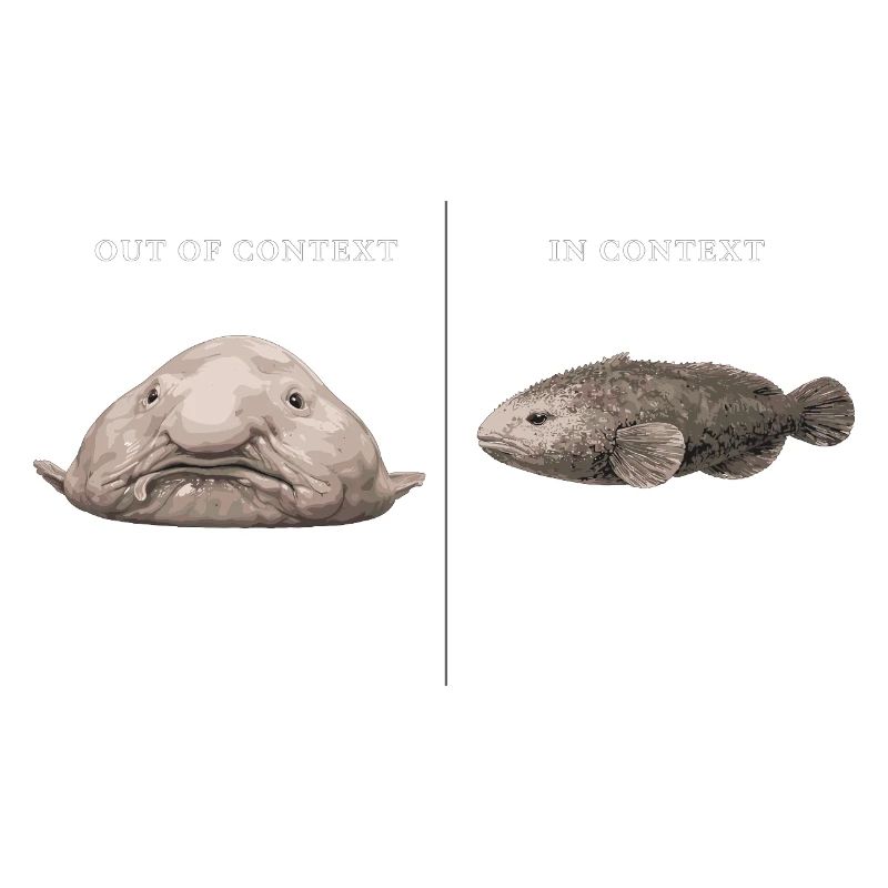 Blobfish Out Of Context vs In Context Comparison