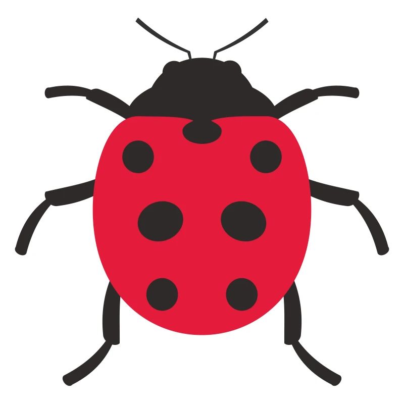 Marienkäfer Design