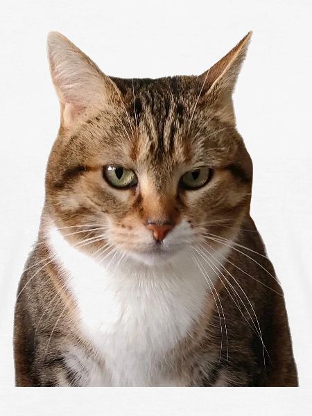 Missty portrait