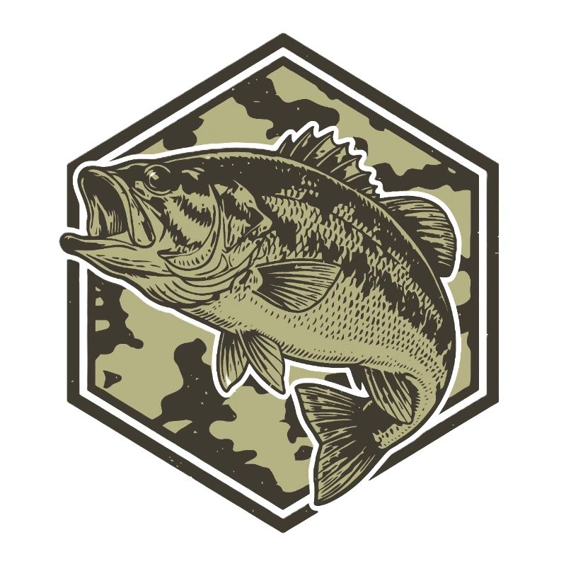 La basse dans l’hexagone de camouflage