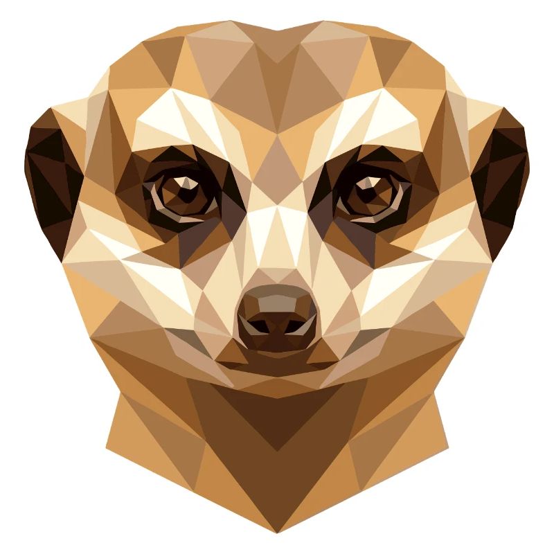 Suricate Suricate Douce Mangouste Suricate