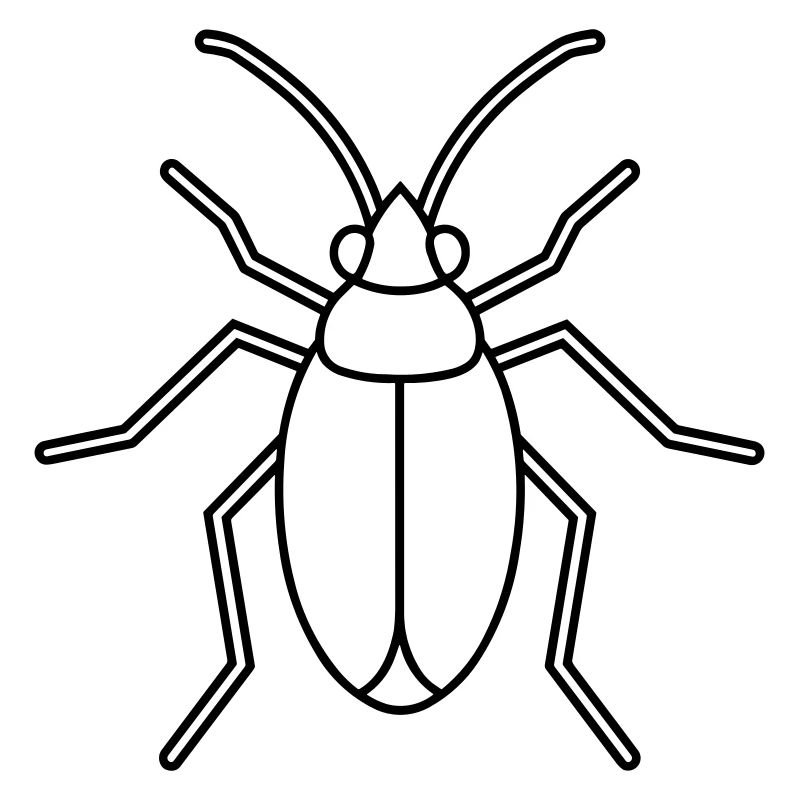 Aphid
