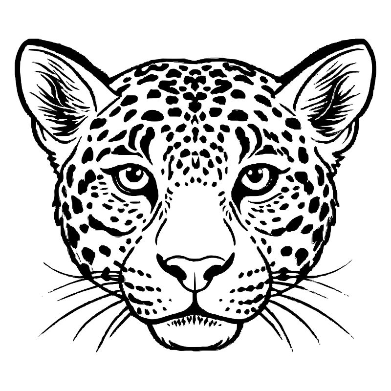 Leopard face