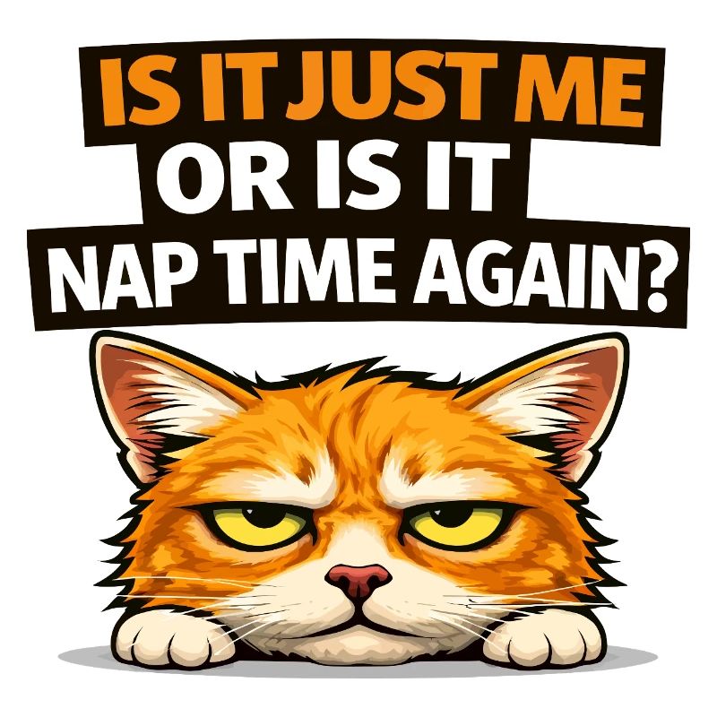 Nap Time Cat Meme