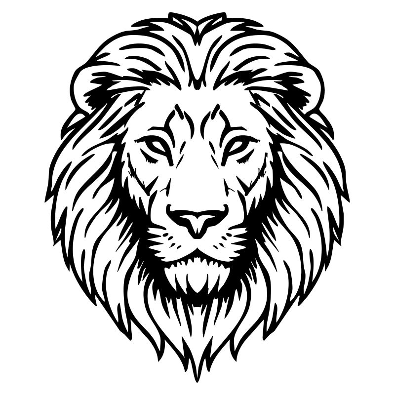 illustration de lion
