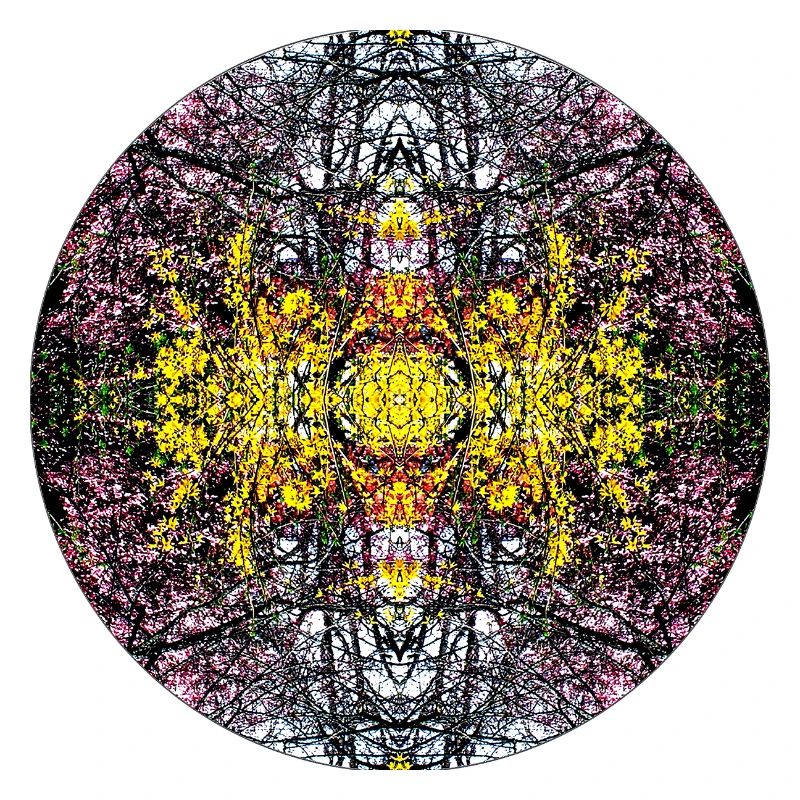 Source du Mandala de la nature dans le parc municipal