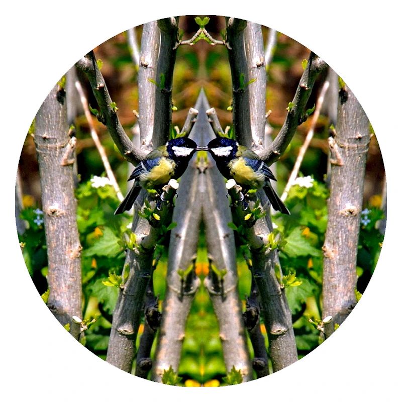 Source du Mandala de la nature dans le parc municipal