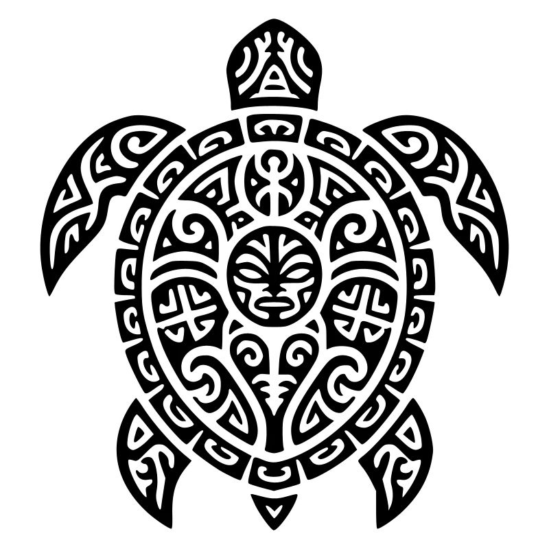 tortoise