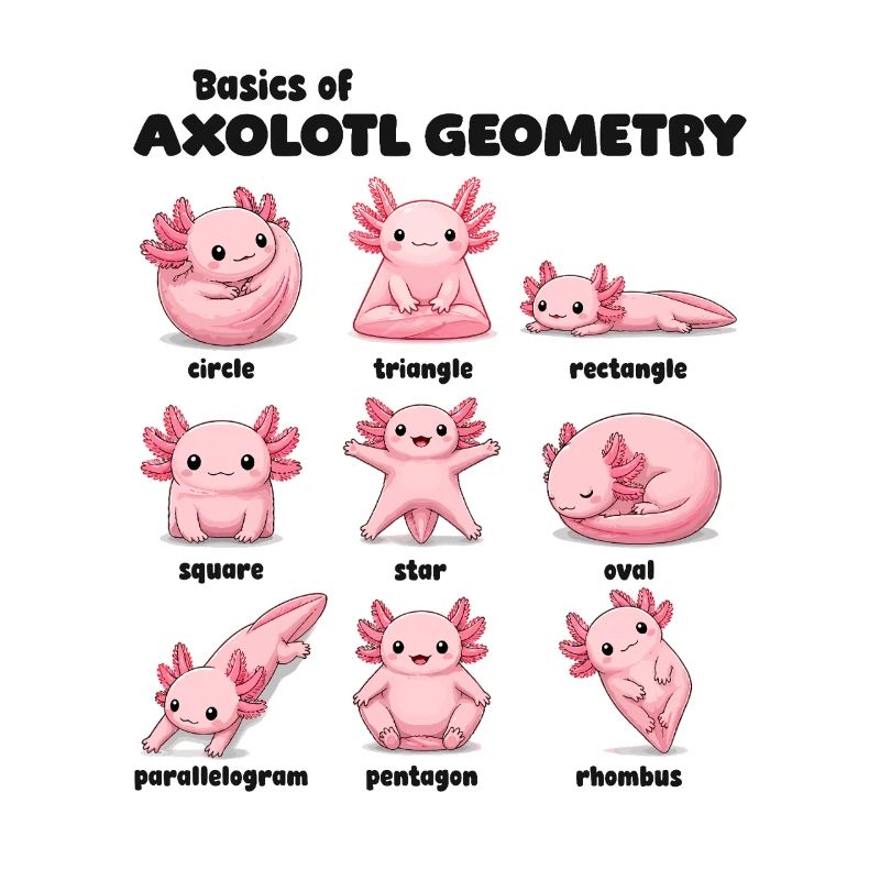 Axolotl Geometry Basics Funnier