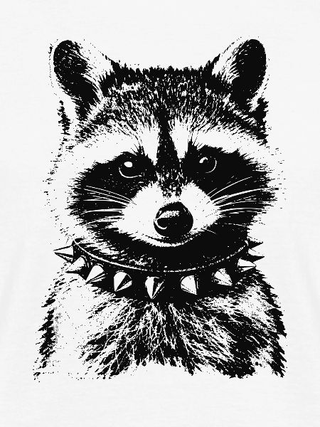 Punk Waschbär