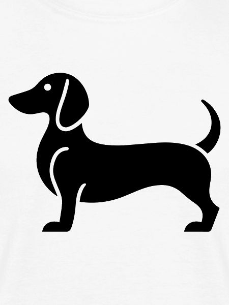 dachshund