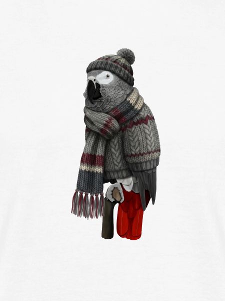 Graupapagei in Strickpullover Winter Weihnachten