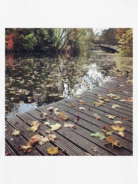Herbstpfad am Wasser
