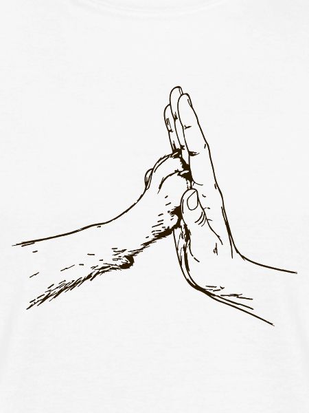 hand-pfote