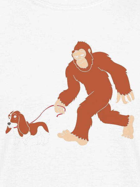 Basset Hound