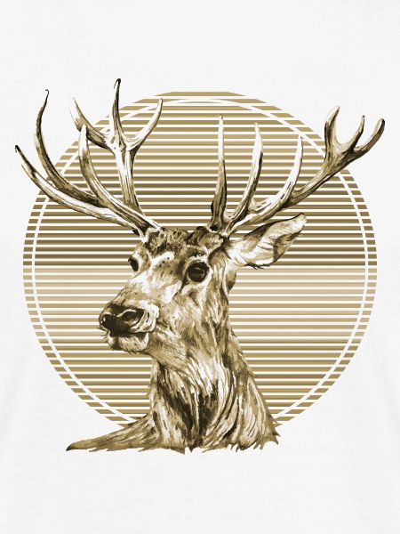 Hirsch