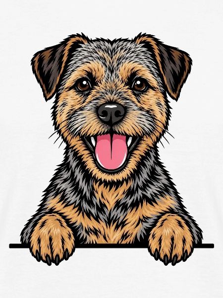 Border Terrier