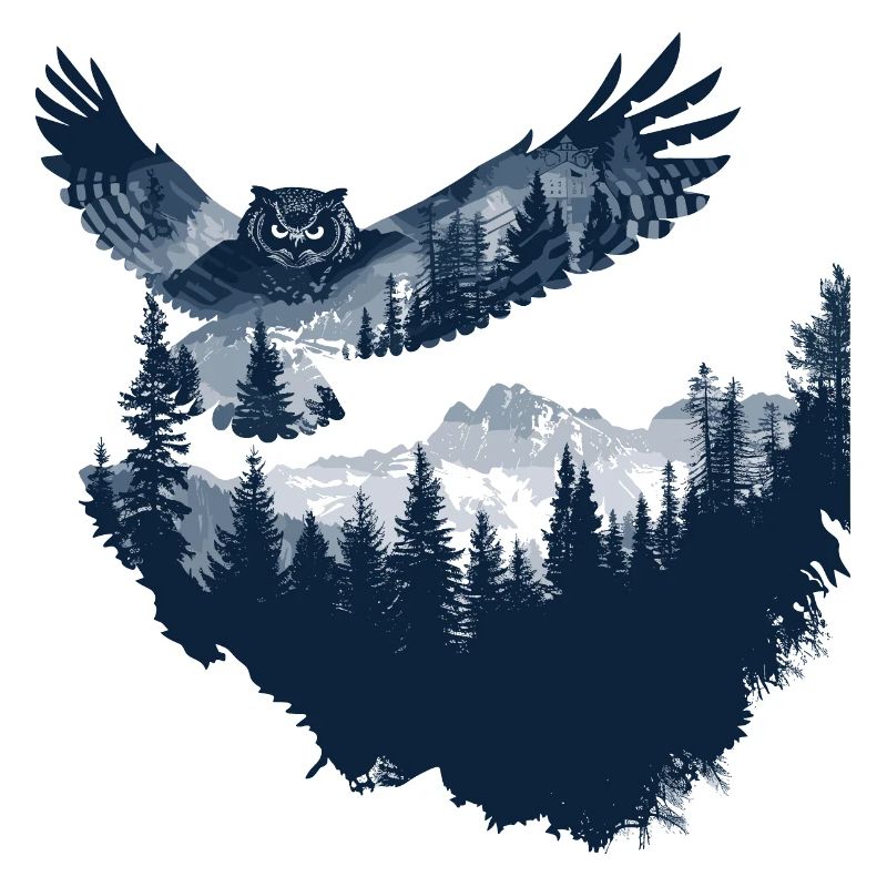 Eule Tier Eulen Vogel Wald Natur