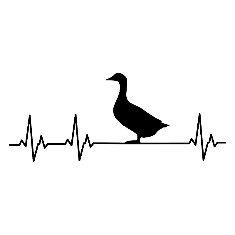 Duck - Ducks - Duck Breeder - Love