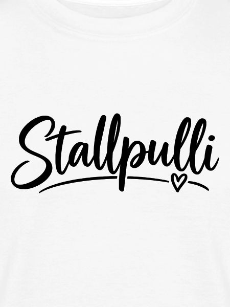 Stallpulli - Pferd - Reiterin - Stall - Pullover