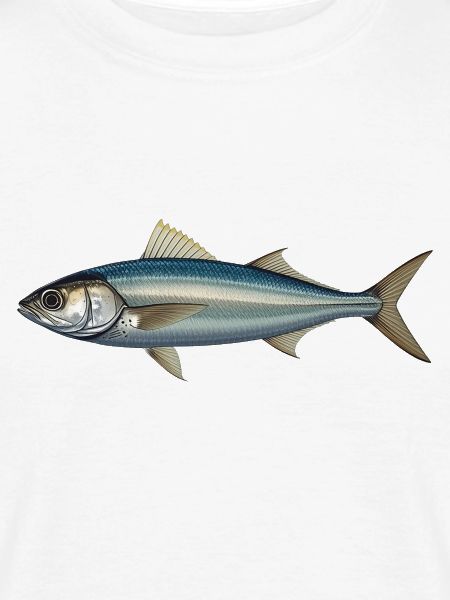 Azure Silver Fish Illustration