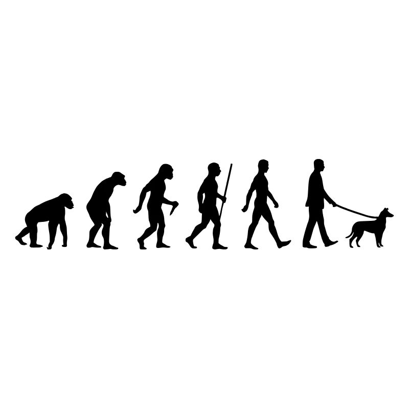 Evolution Smooth Collie Mann