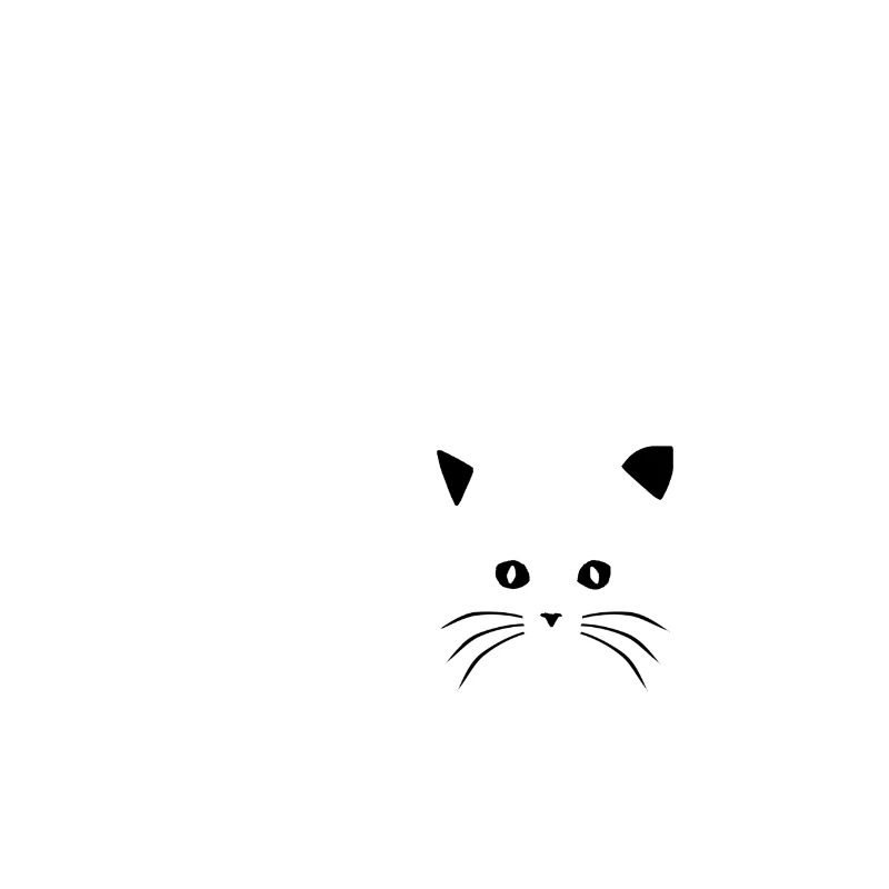 Mon petit chaton