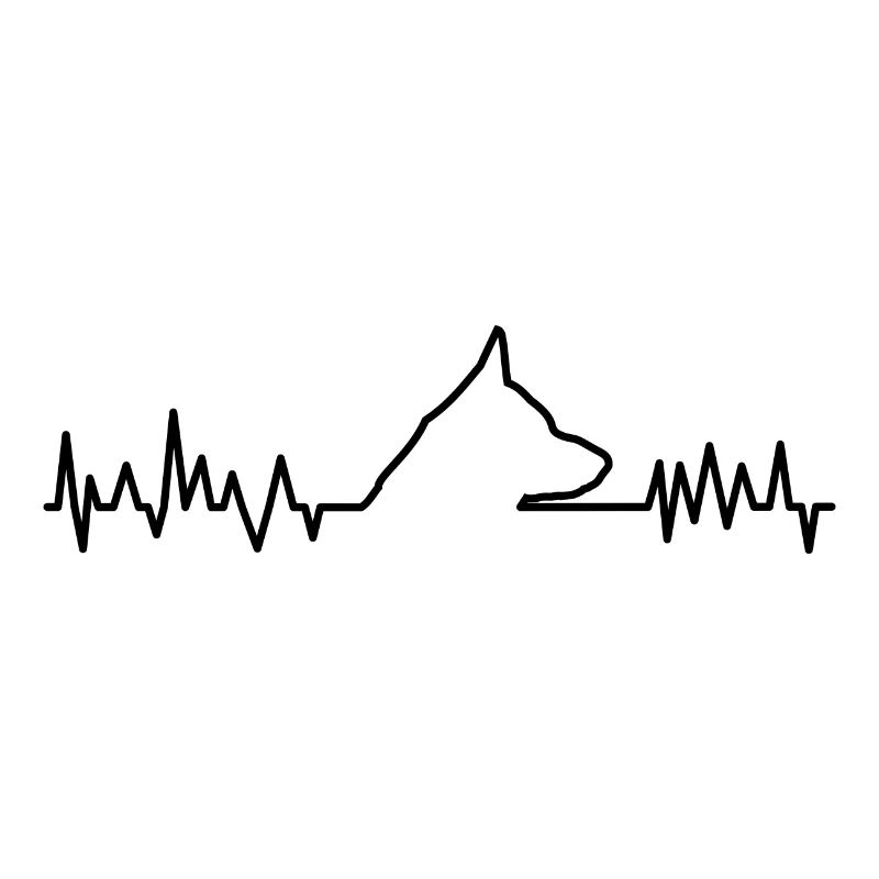 CONCEPTION DE CHIEN CARDIAQUE