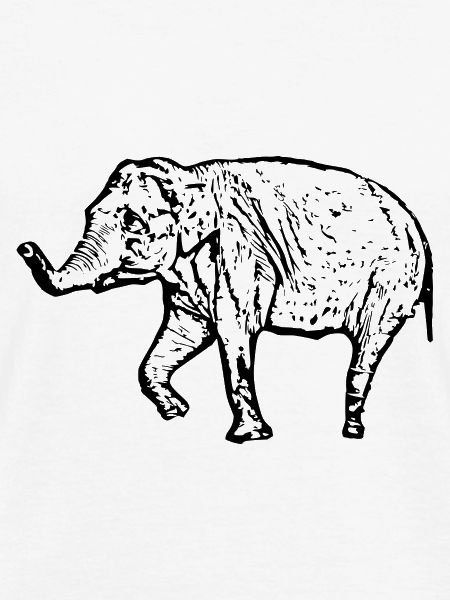 Elephant black