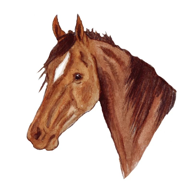 Hanoverian