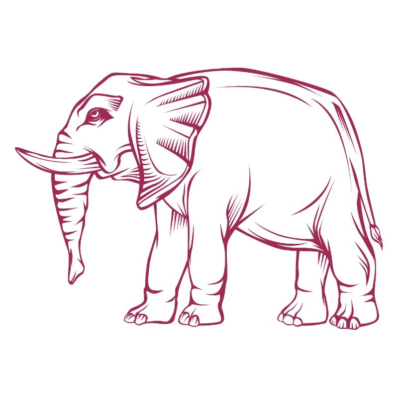 elephant