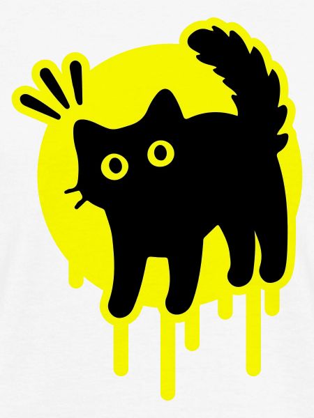 Kater Katze