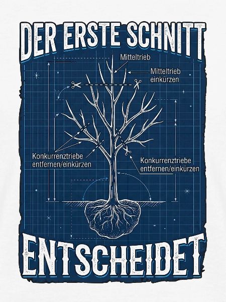 Baum Experte