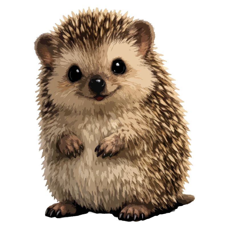 Small Hedgehog Stuffy Coat