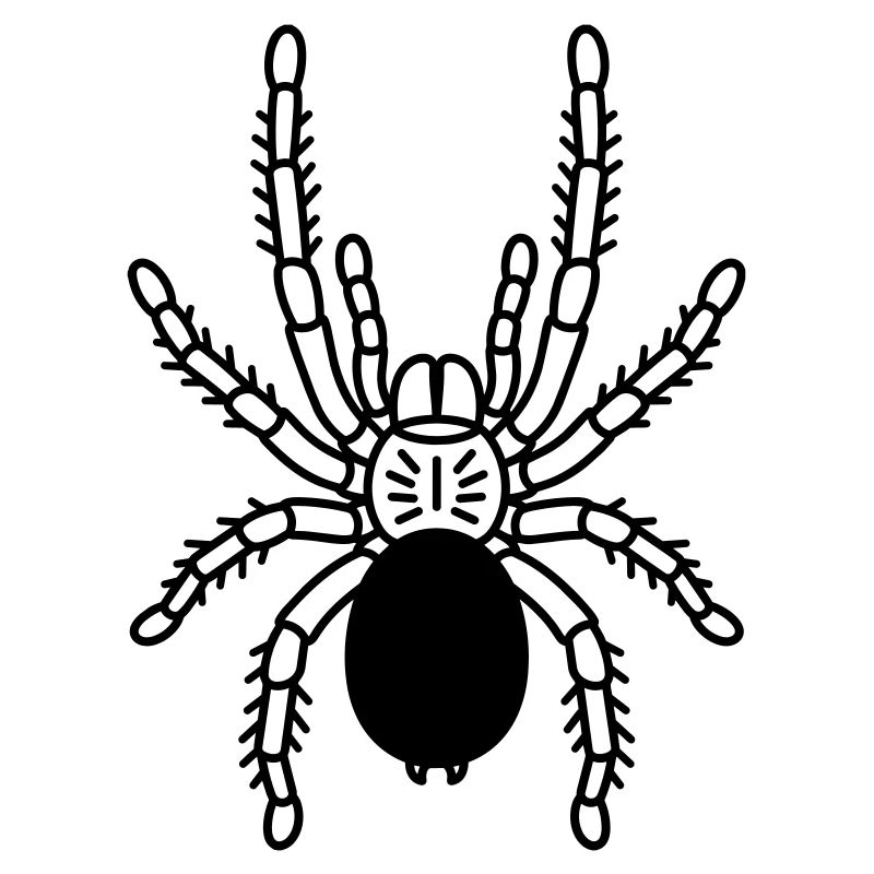 Tarentule Tarentule