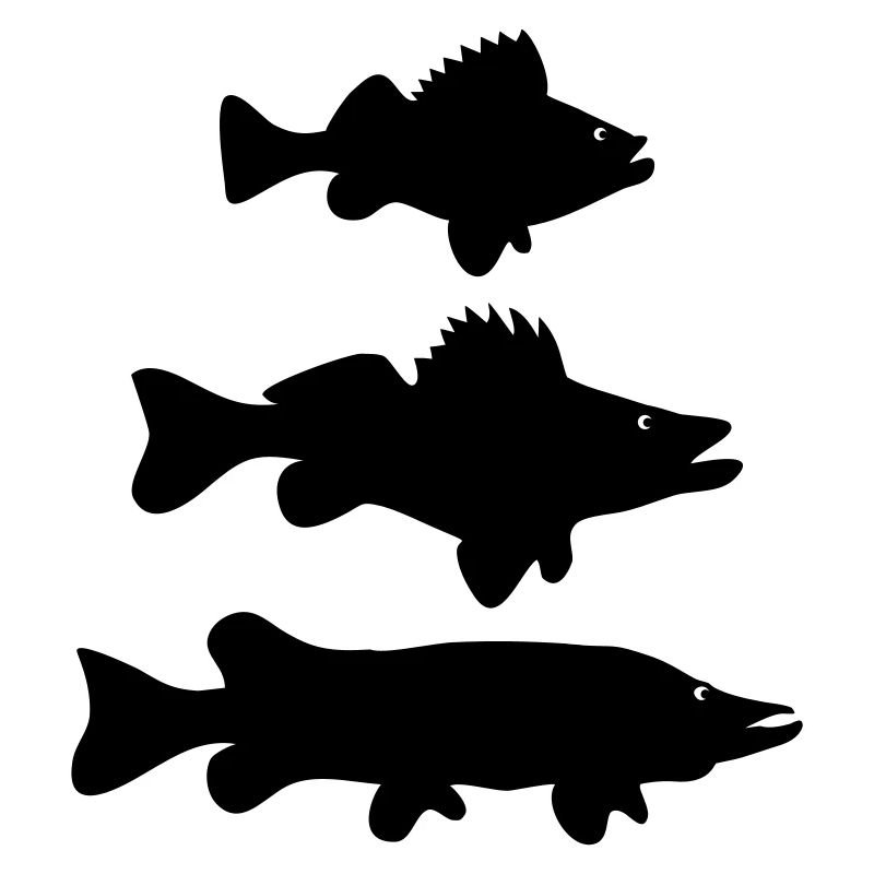 Perch - Zander - pike