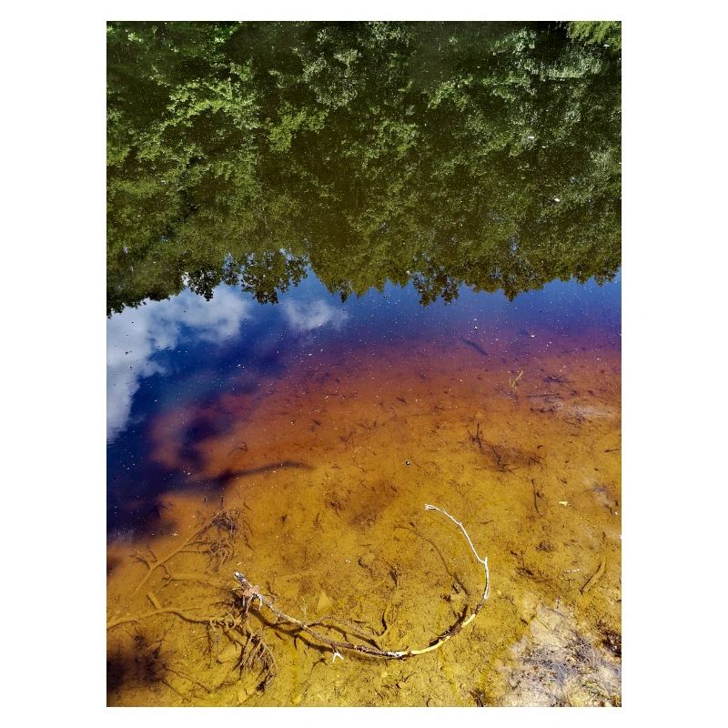 Reflection