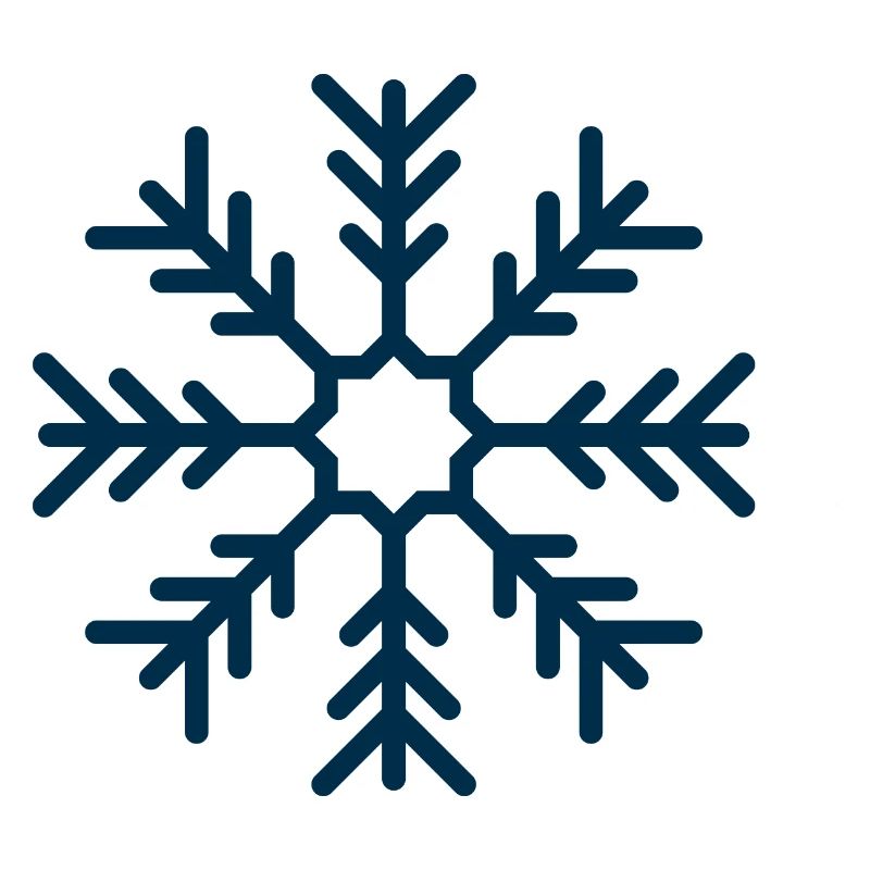 Flocon de neige