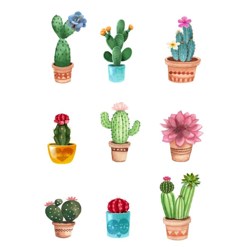 Cactus