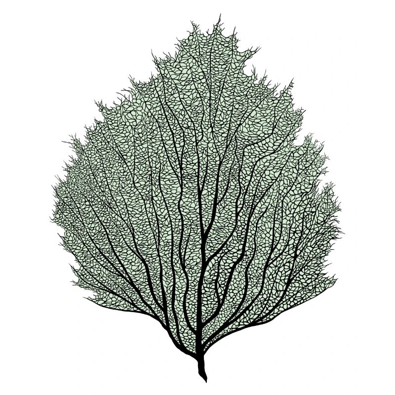 feuille