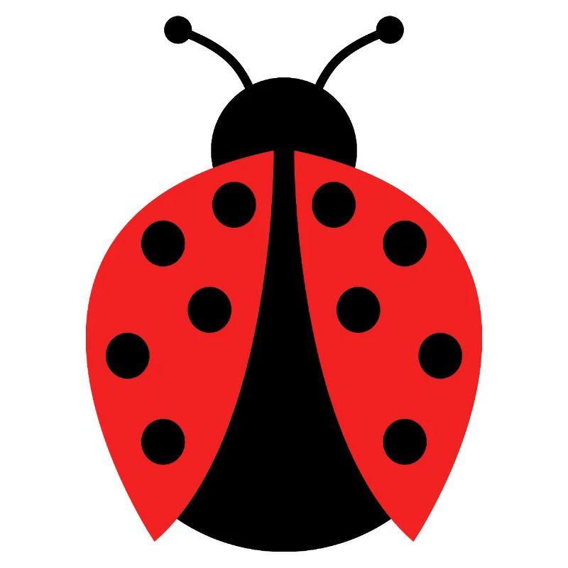 ladybug