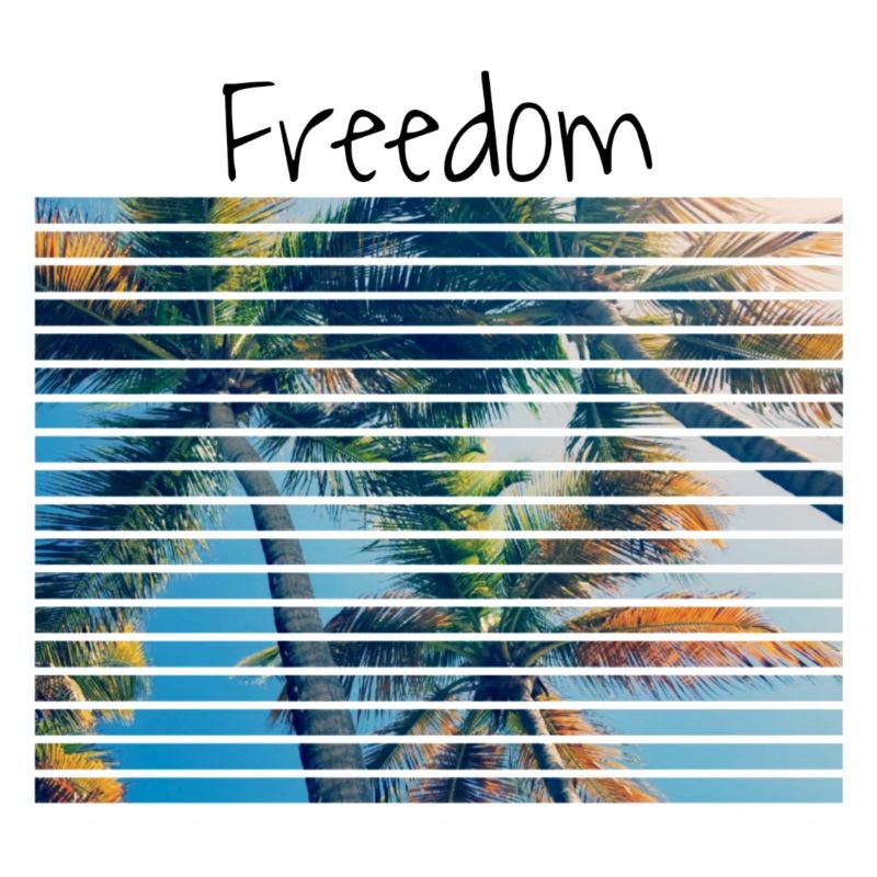 Freedom