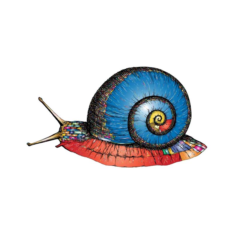 Psychedelic Snail