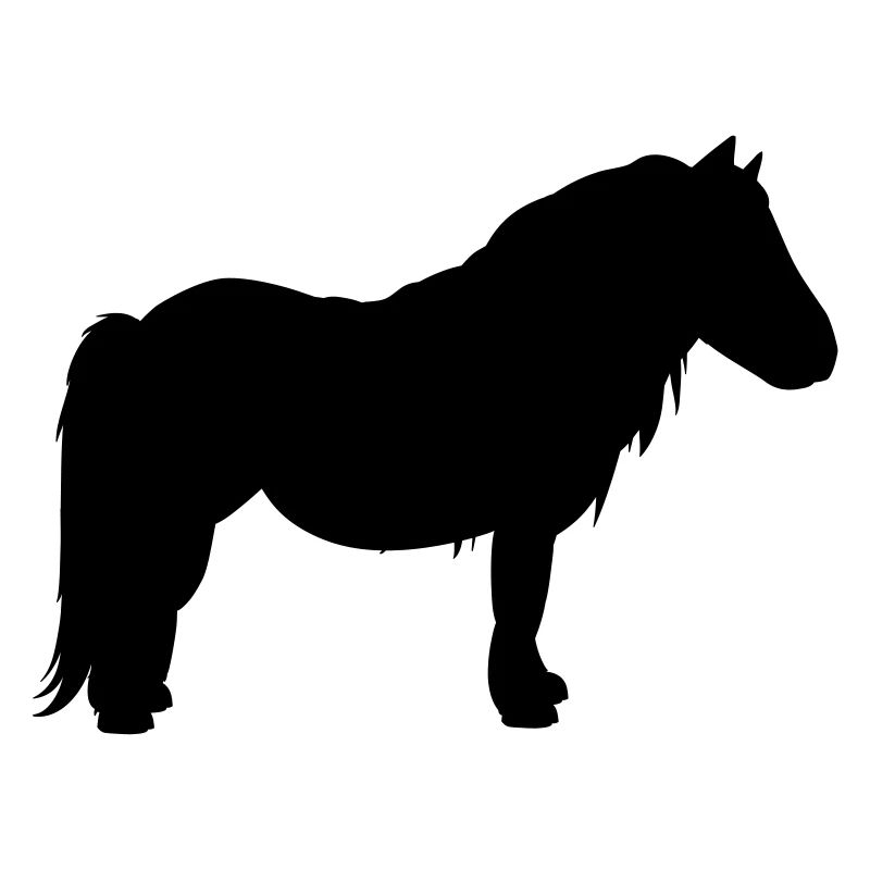 Pony Silhouette
