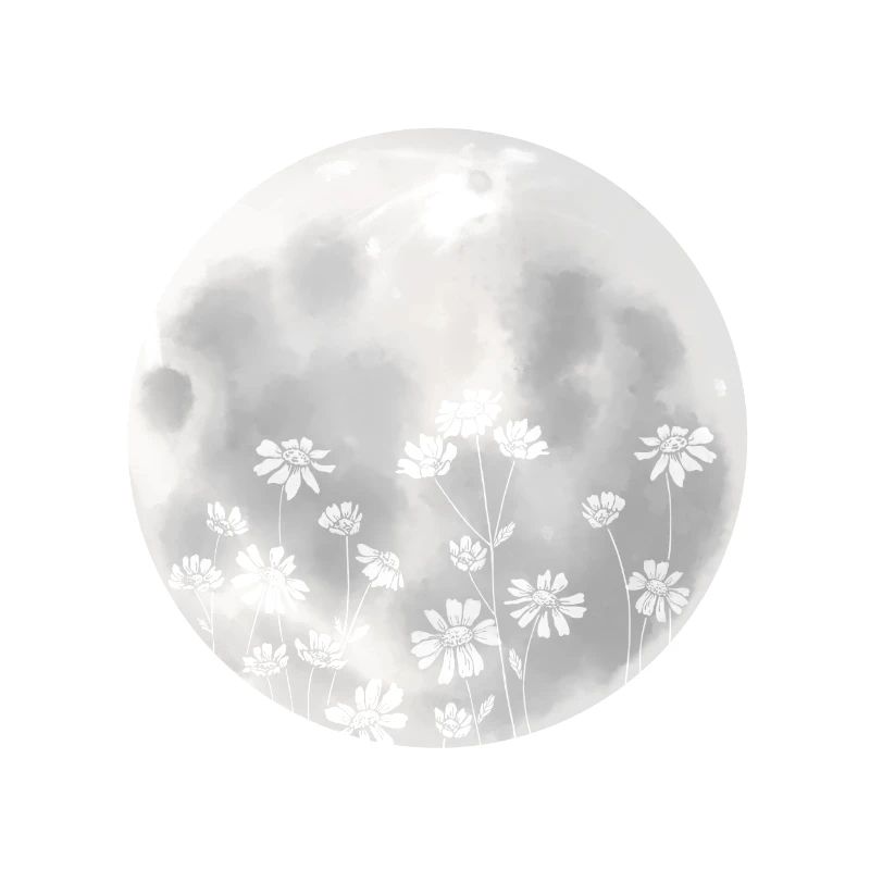 Silver moon