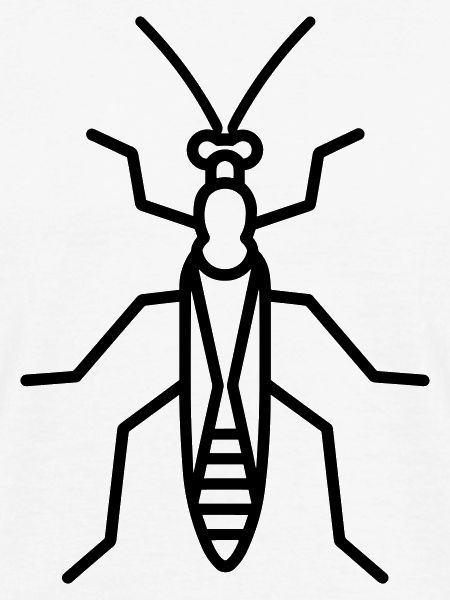 Stick-Insekt