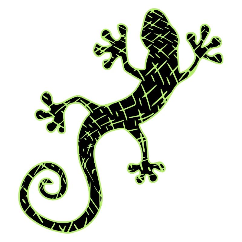 Gekko vert et noir