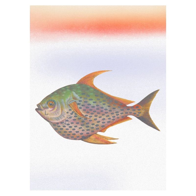 Mengdesigns : Coucher de soleil sous la mer