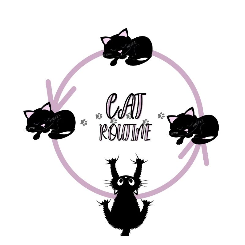 Cat routine